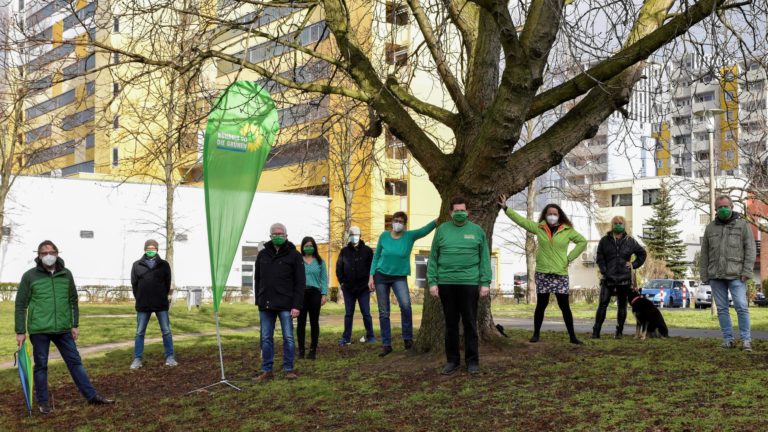 GRÜNE:  Baum retten in der Wilhelm-Rieländer-Str.