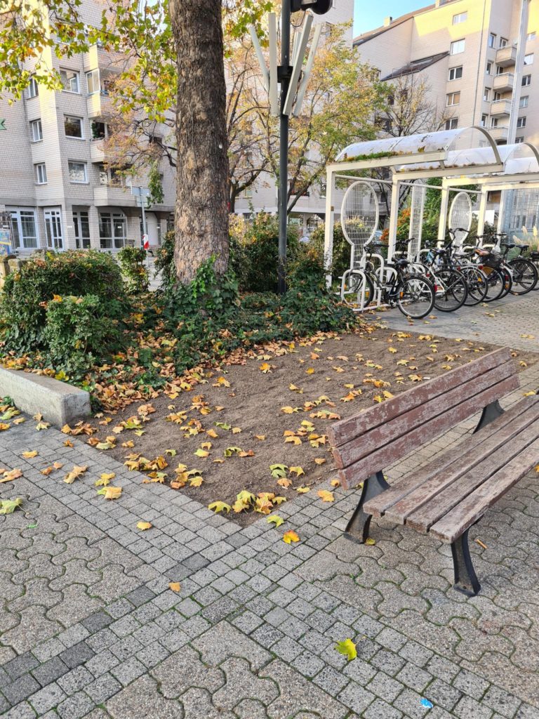 GRÜNE fordern Flächenentsiegelung in Wesseling